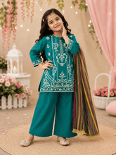 Girl Embroidered Fancy Suit